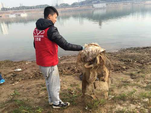 QQ图片20170103112943 QQ图片20170103112943