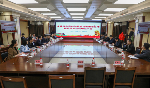 会议全景 (2) 会议全景 (2)