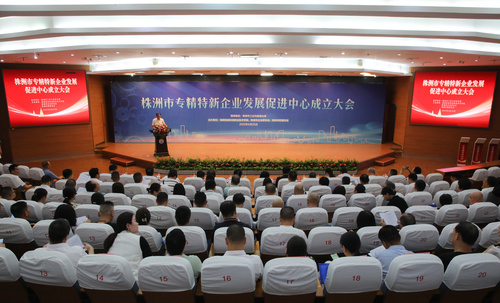 会议全景 会议全景