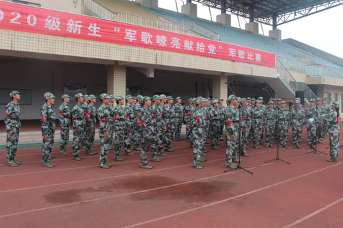 图片8 图片8