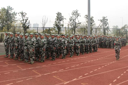 图片7 图片7