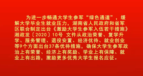 图片2 图片2