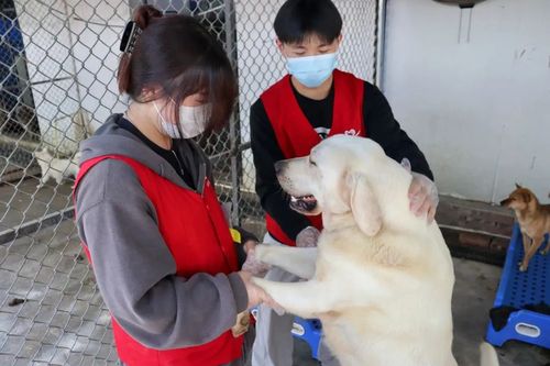 微信图片_20230404111356 微信图片_20230404111356