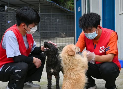 微信图片_20230528103448 微信图片_20230528103448