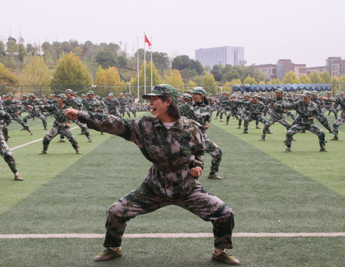 军体拳 军体拳