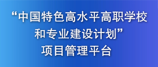 项目管理