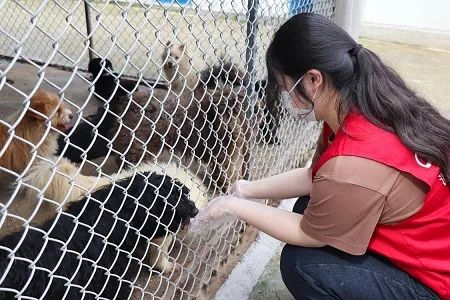 微信图片_20220525221115 微信图片_20220525221115