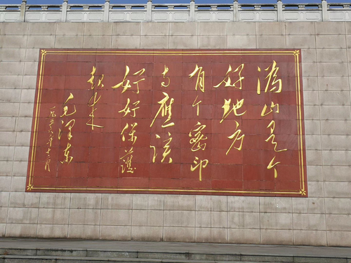 图片4 图片4